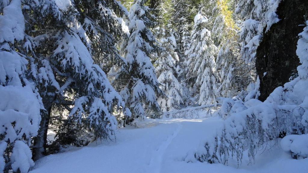 Haus Romana Sölden Exteriör bild